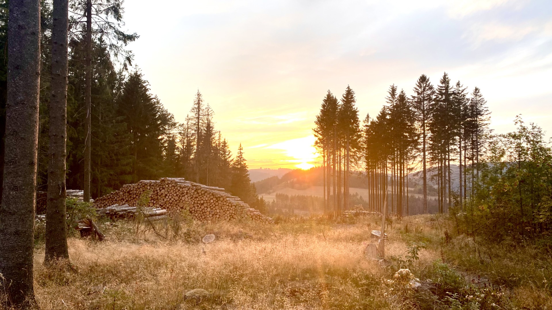 Eideler Berg Willingen